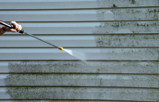Best Mold Remediation  in Benton Heights, MI