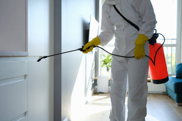 Best Best Mold Removal Companies  in Benton Heights, MI