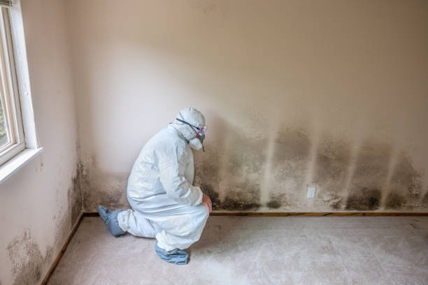Best Mold Testing  in Benton Heights, MI